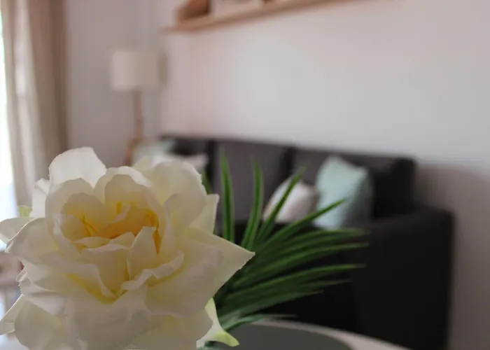 Sweet Sunset Chayofa